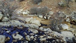 پیگیری آلودگی نفتی در منطقه سرخون / وزارت نفت اقدامات لازم را انجام دهد