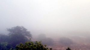 میزان رطوبت امروز صبح در مسجدسلیمان ۵۹درصدگزارش شده است .