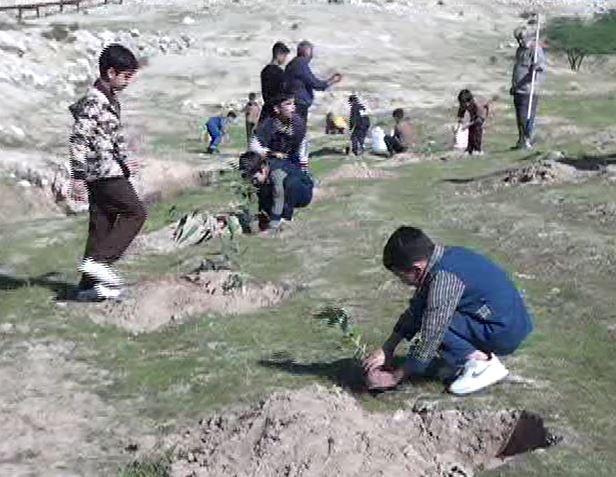 کاشت ۴۰ هزار بذر بادام کوهی در مسجدسلیمان