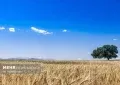 تکمیل طرح‌های آبیاری لالی و هارکله نیازمند اعتبار فوری است