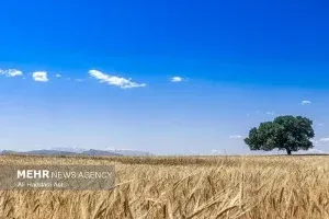 تکمیل طرح‌های آبیاری لالی و هارکله نیازمند اعتبار فوری است