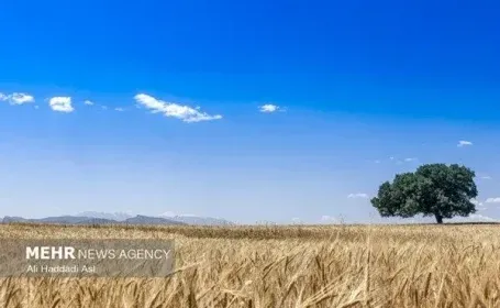 تکمیل طرح‌های آبیاری لالی و هارکله نیازمند اعتبار فوری است