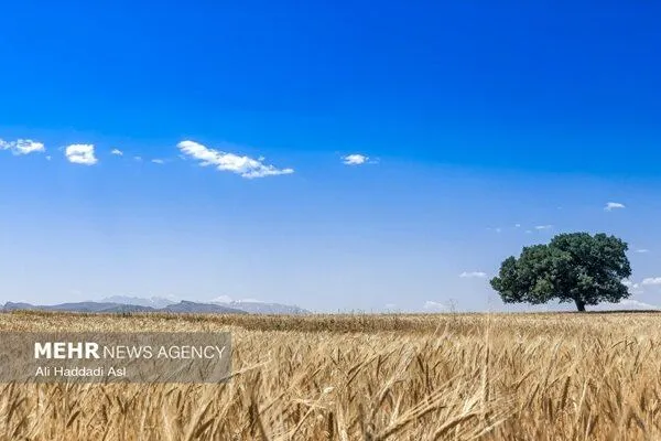 تکمیل طرح‌های آبیاری لالی و هارکله نیازمند اعتبار فوری است